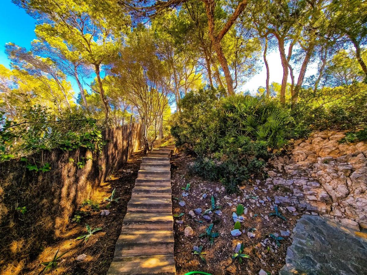 Villa Cala Llamp 안드라츠 외부 사진